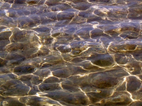 Rippling water surface with sunlight reflections, creating a shimmering pattern in shades of blue and brown.