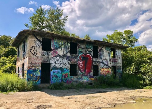 Abandoned building covered in colorful graffiti, surrounded by overgrown vegetation and a blue sky with clouds.