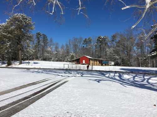 A snowy landscape featuring a red barn surrounded by trees under a clear blue sky. Footprints lead through the snow.