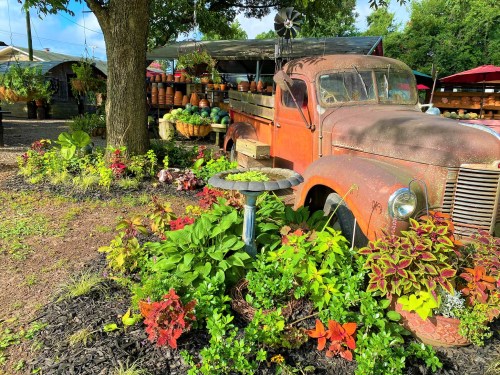 An old rusty truck surrounded by vibrant flowers and plants at a garden market.