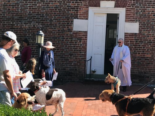 A group of people with dogs outside a building, some holding papers, while a person in a white robe stands nearby.