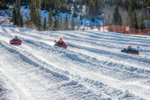 Four people tubing down a snowy slope, surrounded by trees and a clear blue sky.
