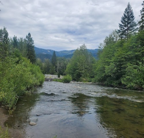 A serene river flows through lush greenery, with mountains in the background under a cloudy sky.