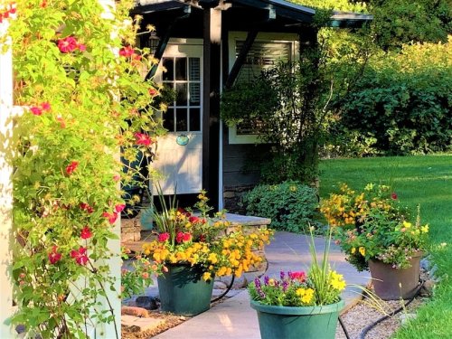 A charming garden entrance with colorful flower pots and a cozy porch surrounded by lush greenery.