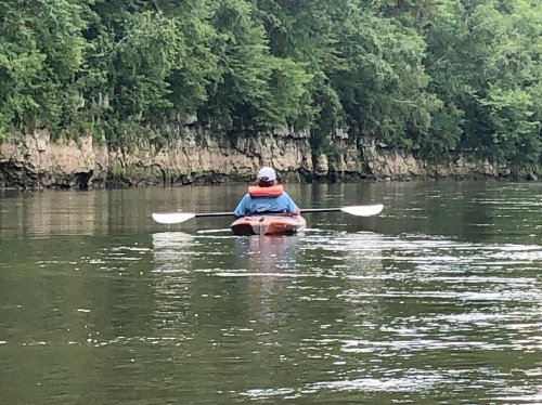 A person in a kayak paddles on a calm river surrounded by lush green trees and rocky cliffs.