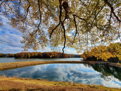 A serene lake surrounded by autumn foliage, reflecting the colorful trees and cloudy sky above.