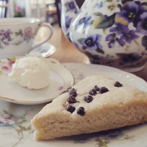 A slice of scone with chocolate chips, a dollop of cream, and a floral teapot and cup in the background.