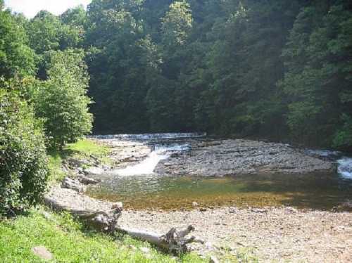 A serene river flows over rocks, surrounded by lush green trees and a peaceful landscape.