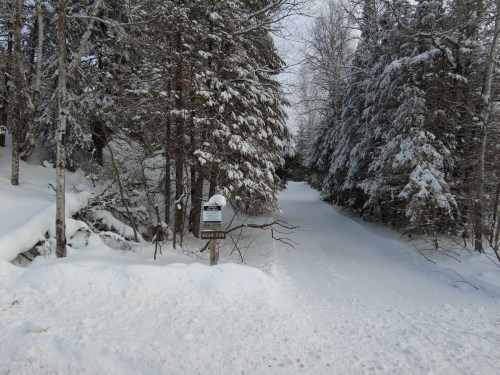 Snow-covered path through a forest, flanked by trees, with a sign indicating the trail ahead.