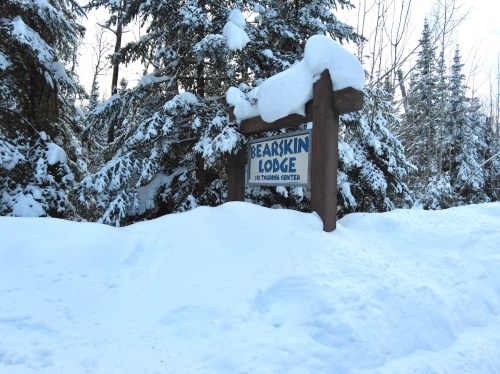 Sign for Bearskin Lodge in a snowy landscape, surrounded by tall evergreen trees. Snow covers the ground and sign.