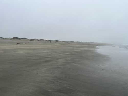 A foggy beach scene with smooth sand and gentle waves, stretching into the distance under a gray sky.