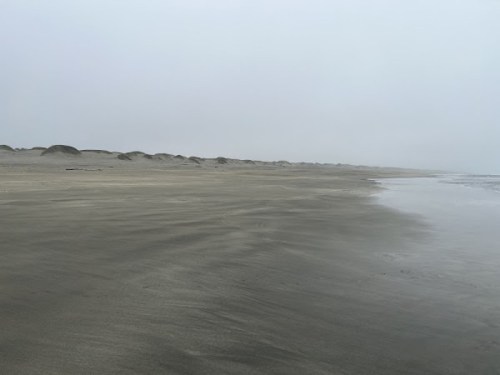 A foggy beach scene with smooth sand and gentle waves, stretching into the distance under a gray sky.