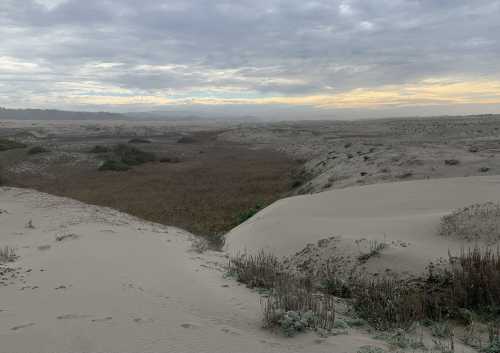 A sandy landscape with sparse vegetation, rolling dunes, and a cloudy sky at dawn or dusk.