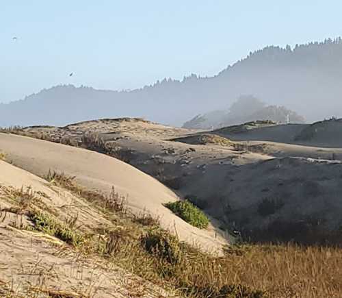 A serene landscape of sandy dunes with gentle hills and a misty background of mountains under a clear sky.