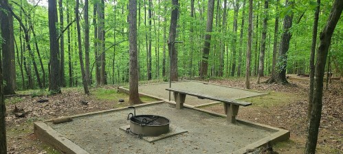 A campsite in a lush green forest featuring a picnic table and a fire pit surrounded by trees.