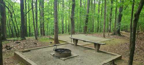 A campsite in a lush green forest featuring a picnic table and a fire pit surrounded by trees.