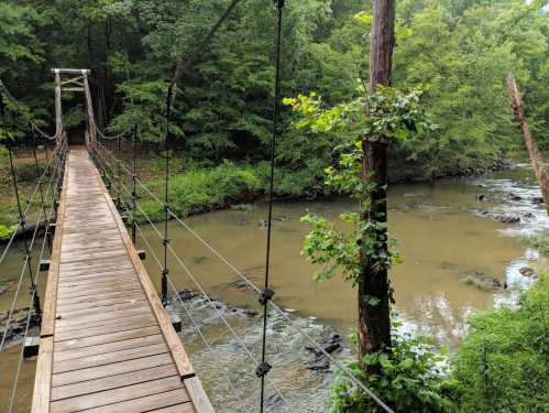 A wooden suspension bridge spans a calm river, surrounded by lush green trees and foliage.