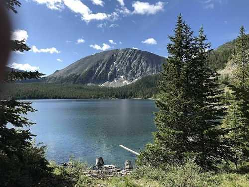 A serene lake surrounded by lush trees, with a mountain in the background under a clear blue sky.