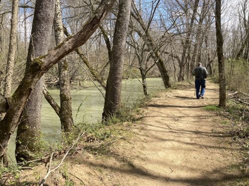 A person walks along a dirt path beside a river, surrounded by trees and a peaceful natural setting.