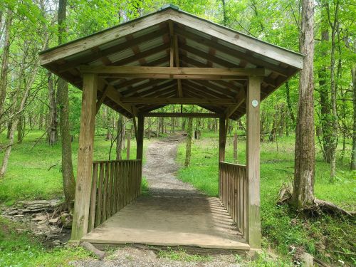 A wooden shelter with a roof, overlooking a path through a lush green forest.