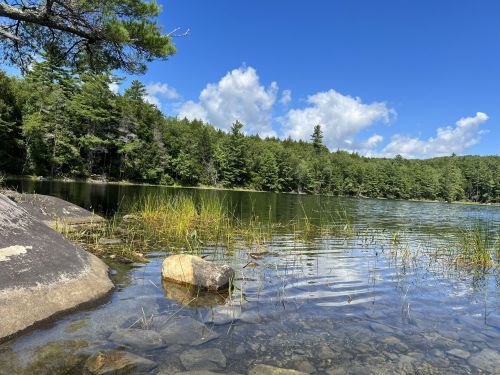 A serene lake surrounded by lush green trees under a bright blue sky with fluffy clouds. Rocks and grass line the shore.