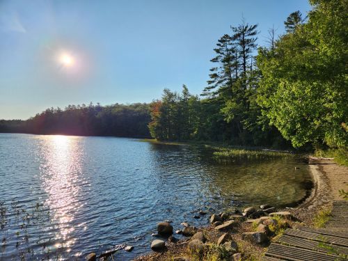 A serene lake scene with sunlight reflecting on the water, surrounded by trees and a rocky shoreline.
