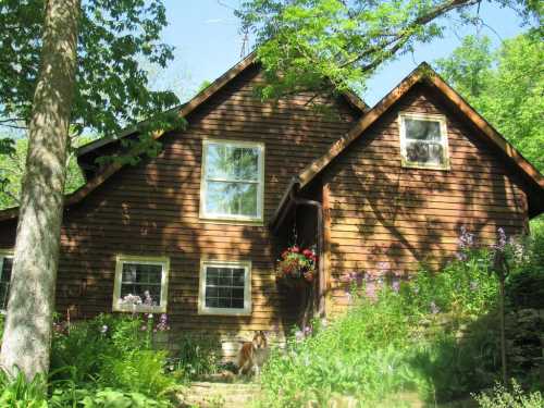 A rustic wooden house surrounded by greenery and flowers, with a dog sitting in the foreground.