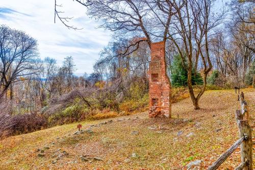 A weathered brick chimney stands among bare trees in a grassy area, with a cloudy sky in the background.