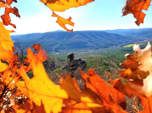 A scenic view of mountains and valleys framed by vibrant autumn leaves.