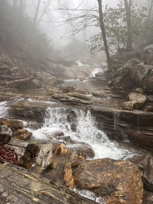 A misty landscape featuring a flowing stream over rocky terrain, surrounded by trees and fog.