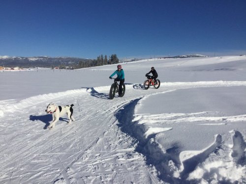 Two cyclists ride fat bikes on a snowy trail while a dog runs alongside them in a clear blue sky.