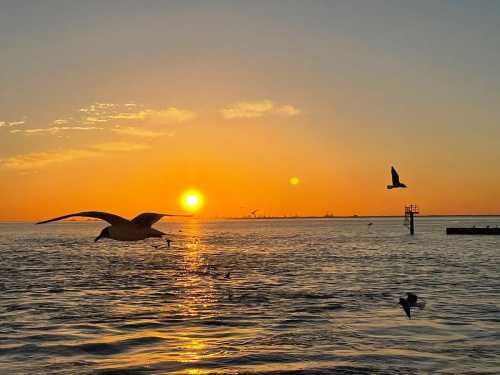 A serene sunset over water, with seagulls flying and a warm orange glow in the sky.