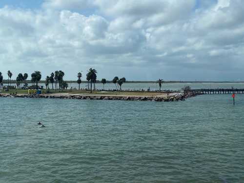 A scenic view of a calm bay with a jetty, palm trees, and a cloudy sky, featuring a dolphin near the water's surface.