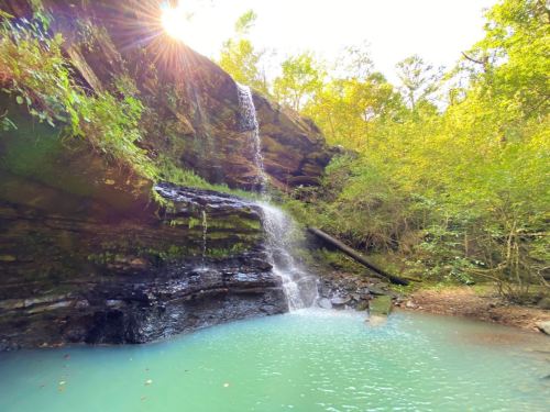 A serene waterfall cascades into a turquoise pool, surrounded by lush green trees and sunlight filtering through.