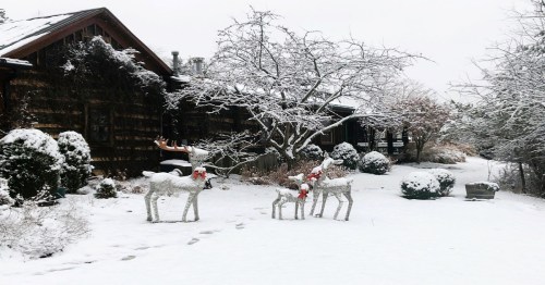 Snow-covered yard with three decorative reindeer and a rustic wooden house in the background.