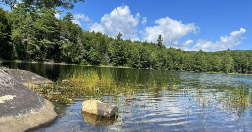 A serene lake surrounded by lush green trees and blue skies, with rocks and grass in the foreground.