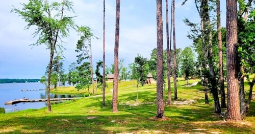 A serene lakeside scene with tall trees, green grass, and a calm water view under a partly cloudy sky.