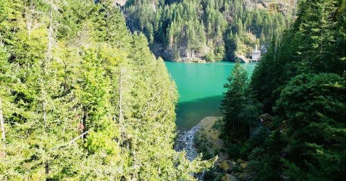 A serene lake surrounded by lush green trees and mountains, reflecting vibrant turquoise water.