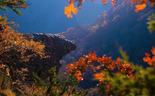 A rocky outcrop resembling a profile, surrounded by vibrant autumn foliage and misty mountains in the background.
