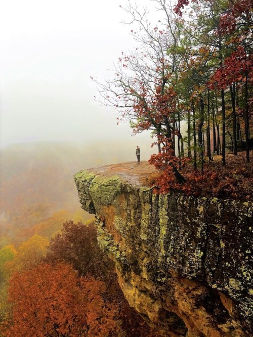 A person stands on a rocky cliff surrounded by colorful autumn trees in a foggy landscape.
