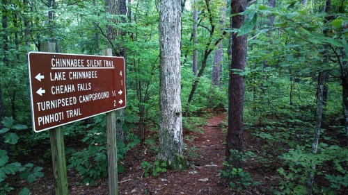 A wooden trail sign in a lush green forest, indicating directions to various trails and landmarks.
