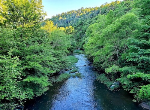 A serene river flows through lush green trees and hills, reflecting the vibrant colors of nature.