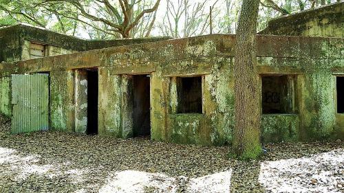 Abandoned, weathered building surrounded by trees and fallen leaves, with open windows and a metal door.