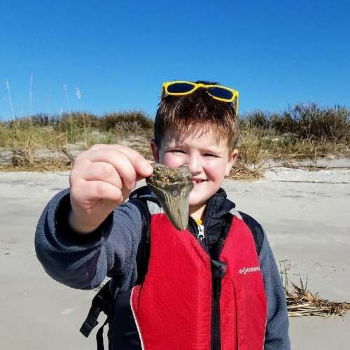 A smiling child in a red life jacket holds a small creature at the beach, with sand and grass in the background.