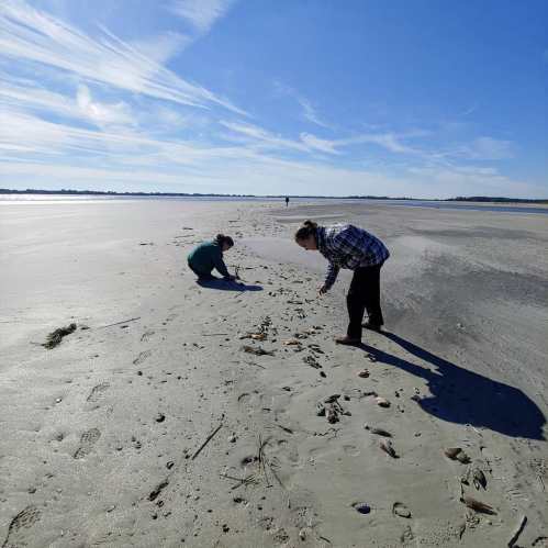 Two people explore a sandy beach under a clear blue sky, with water visible in the background.