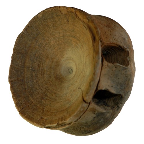 A round, weathered piece of wood with a smooth surface and a hollowed-out section, showcasing natural textures and patterns.