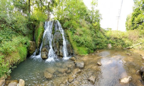 A serene waterfall cascades over rocks into a calm stream, surrounded by lush greenery and trees.