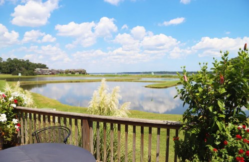 A scenic view of a calm lake surrounded by greenery and flowers, under a bright blue sky with fluffy clouds.
