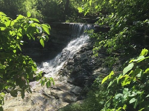 A serene waterfall cascading over rocks, surrounded by lush green foliage in a tranquil natural setting.