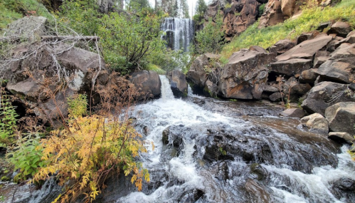 A serene waterfall cascades over rocks, surrounded by lush greenery and autumn foliage.